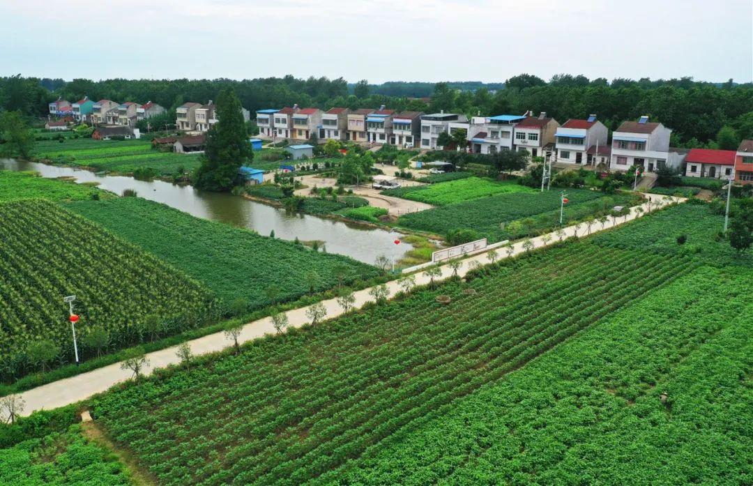 美了美了来看天门这个村的华丽蝶变